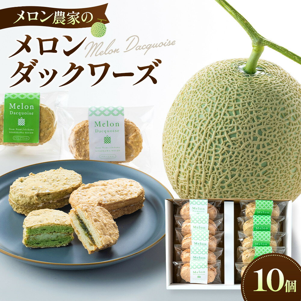 【ふるさと納税】メロン農家のメロン・ダックワーズ10個入
