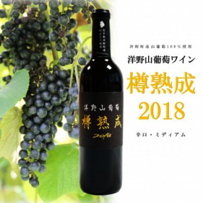 ふるさと納税 洋野町 洋野山葡萄ワイン「樽熟成」 (辛口・ミディアム 720ml)1本　化粧箱入り