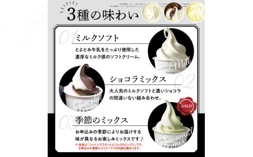 【2025年12月配送】とよとみ牛乳ソフトクリーム【120ml 3種類 計12個】