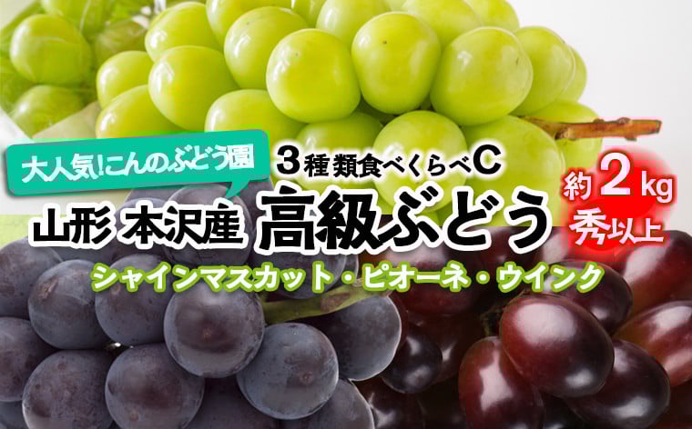 
            大人気！【こんのぶどう園】山形本沢産 高級ぶどう 3種食べくらべC 秀以上 約2kg 【令和7年産先行予約】FU22-337 フルーツ くだもの 果物 山形 山形県 山形市 ぶどう 葡萄 ブドウ セット 2025年産
          