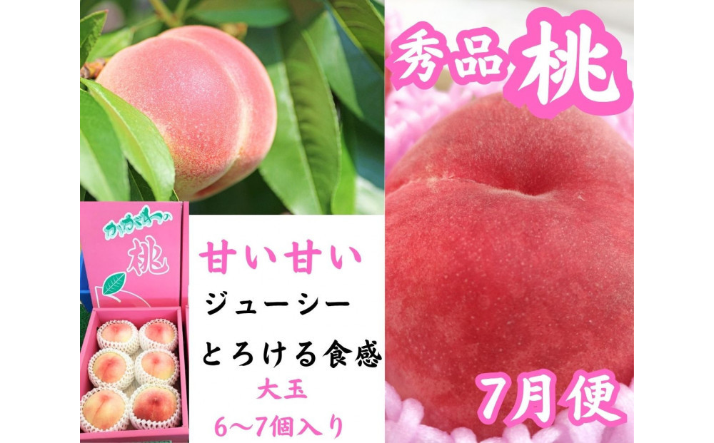 【全6回】坂出　冬・夏　美味しい果物定期便