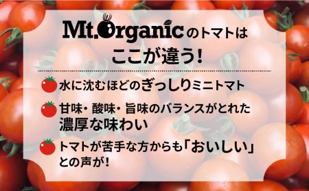 先行予約 2024年産 オーガニックミニトマト 約800g 有機JAS認証[Q731re] syun1