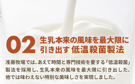 はんすうカップアイス チョコレート アイスクリーム スイーツ [A-21505]