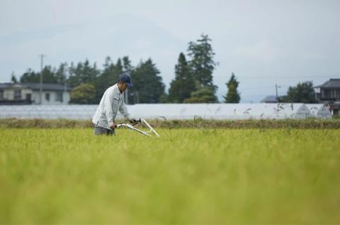 【早期予約】令和6年産　岩手県矢巾町「ひとめぼれ精米」2合×5袋