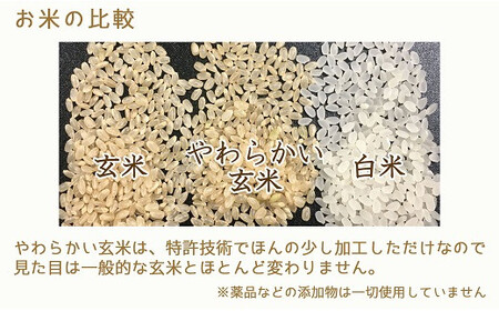 やわらかい玄米 900g　※6回定期便　小分け 米 こめ コメ ごはん 栄養豊富 簡単 便利 美容 健康 新食感 もちもち 安心安全なヤマトライス　H074-648