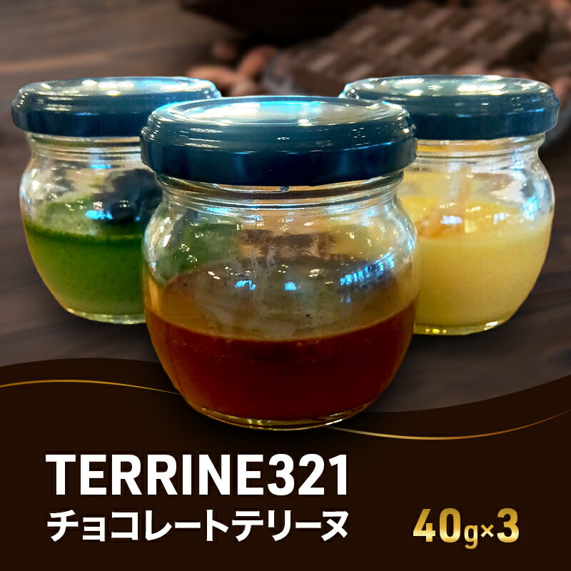 【ふるさと納税】チョコレートテリーヌ40g×3 お菓子 洋菓子 スイーツ おやつ チョコレート チョコ テリーヌ 贈り物 ギフト ご褒美