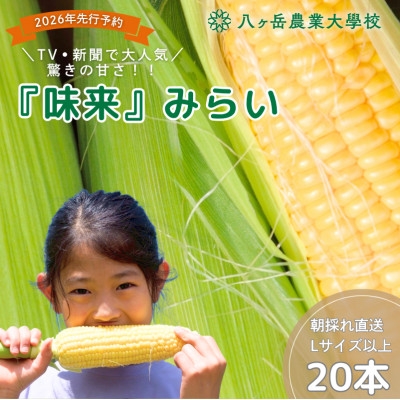 
                  ＜2026年先行予約＞朝採れ直送 フルーツのような甘さ『皮付き』生とうもろこし20本【1748490】
                