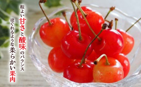 【先行予約 令和8年度発送】山形県産 さくらんぼ 佐藤錦 600g（200g×3パック）秀品以上 L～2Lサイズ FSY-0689