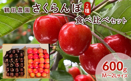 数量限定 北海道 仁木町産 さくらんぼ 2種 食べ比べセット 600g Lサイズ以上 ジューシー 旬のフルーツ 旬の果物 食べ比べ 国産 日本産 サクランボ チェリー フルーツ 果物 果物類 ギフト 仁木町 仁木 [鶴田農園]