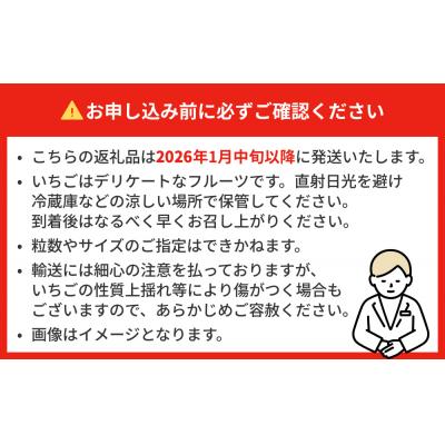 ふるさと納税 石巻市 【2026年1月中旬発送開始】 苺 とちおとめ 恋みのり にこにこベリー とらいべりー 280g×2 |  | 02