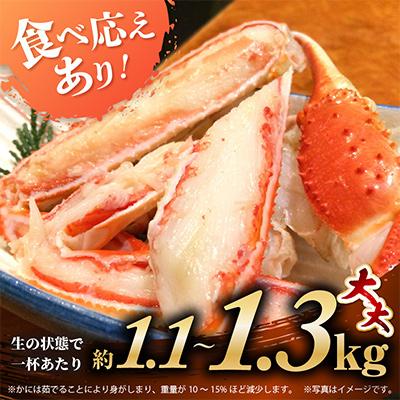 ふるさと納税 美浜町 【2025年3月より順次お届け】越前がに(大大サイズ)約1.1〜1.3kg×2杯 |  | 02