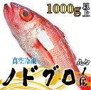 【ふるさと納税】ノドグロ 1尾 1kg以上 1尾約1000g以上 新潟 日本海産 高級魚 新鮮 真空 急速冷凍 冷凍 魚介類 日本海 新潟産 国産 uomizushima009