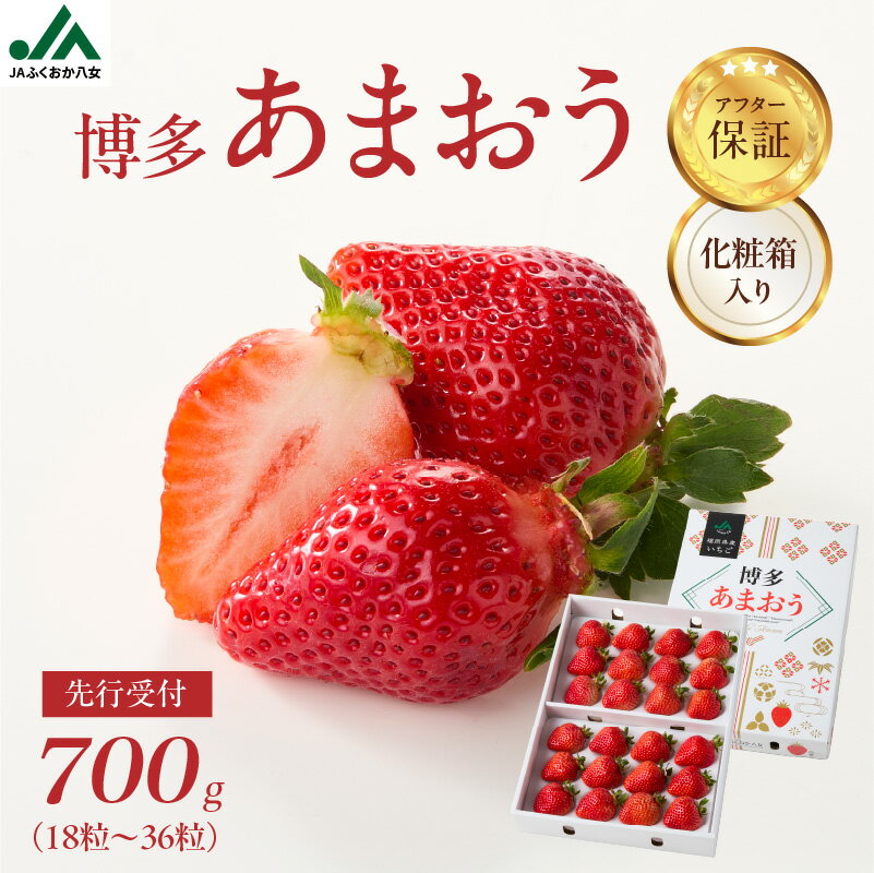 【ふるさと納税】【先行受付 2025年12月発送開始】博多あまおう約700g（化粧箱）｜JAふくおか八女 あまおう いちご 苺 イチゴ フルーツ 果物 くだもの 人気 アフター補償 ギフト 化粧箱入り 贈答品 プレゼント 贈り物 数量限定 期間限定 産地直送 デラックス 福岡県 八女市