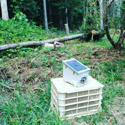ふるさと納税 田川市 イノシシ・小動物防除威嚇機「里山のボイス・ボス」 |  | 02