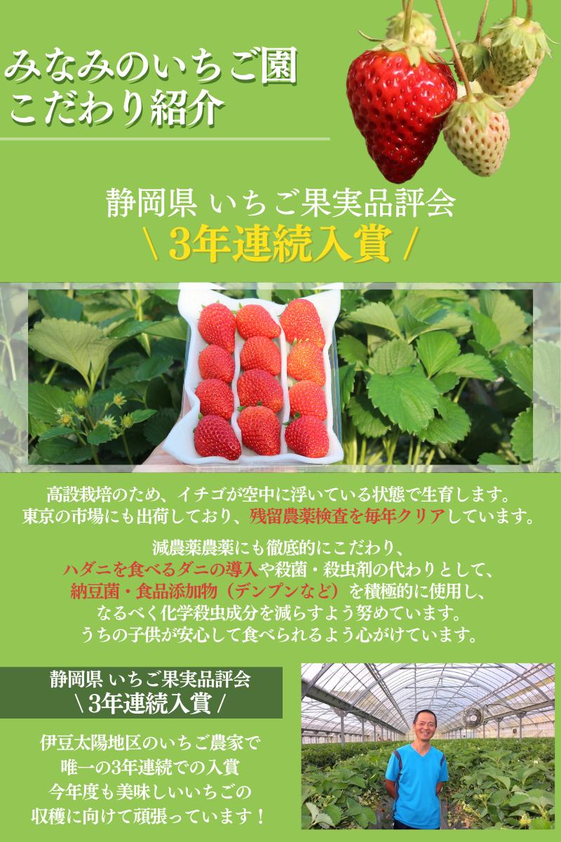 【先行予約＿2026年出荷分】イチゴ　加工用イチゴ　バラ詰め　1.7kg（6.5パック相当）　恋みのり、かおり野　から厳選　【 苺 いちご イチゴ かおり野 恋みのり 産地直送 旬 果物 フルーツ く