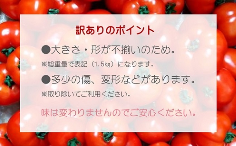 訳あり！ご家庭用に大活躍　夢追うフルティカトマト1.5㎏【A6-023】 トマト とまと ジューシー リコピン 期間限定 松浦市 松浦産 フルティカトマト