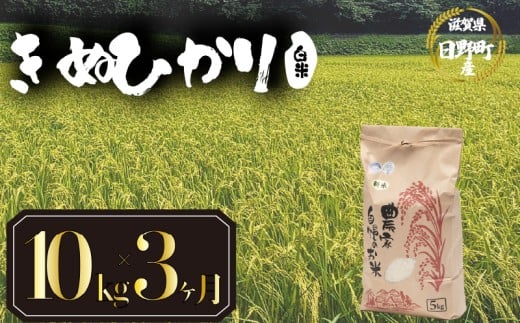 【 令和7年産 米 10kg 定期便 3ヶ月 】 きぬひかり 米 白米 国産 滋賀県 日野町 農家直送 お米 おこめ こめ 産地直送 ふるさと納税