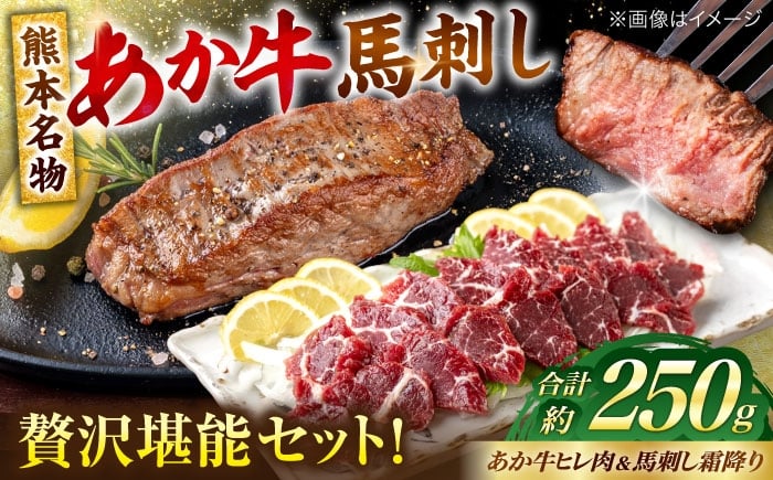 
            熊本の贅沢 あか牛 ヒレ肉 約150g 霜降り 馬刺し 約100g（計約250g） 赤牛 和牛 牛肉 馬肉 牛 馬 肉 霜降り ヒレ フィレ肉 ヘルシー 冷凍 熊本県【合同会社 たべたせいか】 [AYCB070]
          