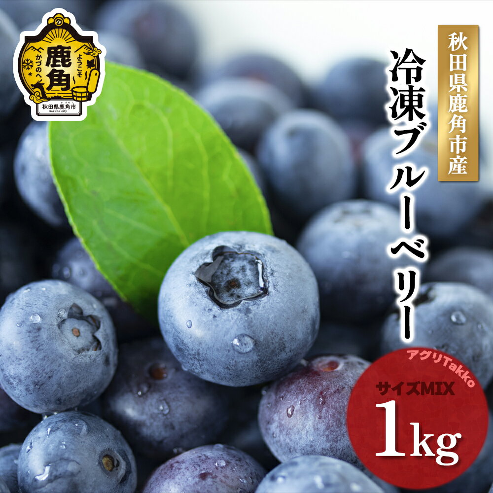 【ふるさと納税】《 先行予約 》 令和8年産 冷凍ブルーベリー 秋田県鹿角産 1kg ( 500g × 2袋 ) サイズMIX 新鮮 ブルーベリー 冷凍 秋田県産 国産ブルーベリー お中元 お歳暮 お取り寄せ グルメ ギフト 故郷 秋田 あきた 鹿角市 鹿角 送料無料 【アグリTakko】