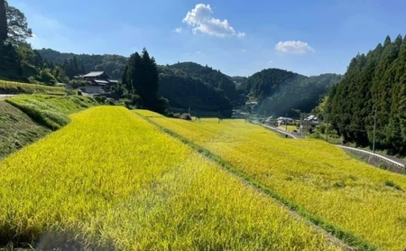 コシヒカリ 箸ひかり 伊賀産 令和8年産 5kg コシヒカリ