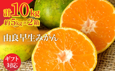 【ふるさと納税】由良早生みかん 5kg×2箱【ギフト可】  秋 旬