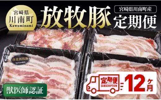 【12ヶ月定期便】宮崎県川南町産豚肉　放牧豚定期便 【 豚 肉 豚肉 国産 九州産 宮崎県産 川南町 加工品 セット 送料無料 】
