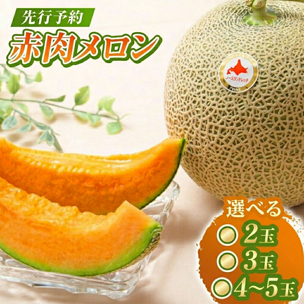 【ふるさと納税】【数量限定】 赤肉メロン 選べる2玉 3玉 4～5玉【令和8年7月～8月上旬発送】| メロン 北海道 赤玉 セット詰め合わせ デザート 果物 フルーツ 赤肉メロン 赤肉 ふるさと納税 北海道 新十津川 新十津川町