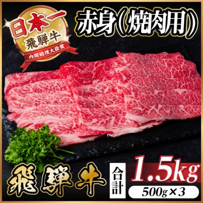 飛騨牛 厳選赤身(焼肉・BBQ用) 1.5kg(500g×3)　黒毛和牛　小分け　A4〜A5等級【配送不可地域：離島】【1543759】