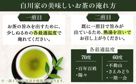 特選5種セット「雫」 計5袋/ お茶 / 白川製茶園 [41AIAB001]