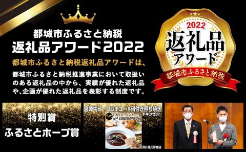 【年内お届け】宮崎牛ビーフシチュー&骨付き照り焼きチキンセット≪2025年12月15日～31日お届け≫_AA-H302-HNY