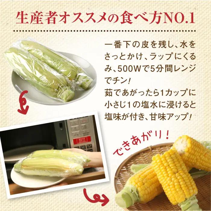 【北海道恵庭市産】朝どりスイートコーン×20本 北海道産 とうもろこし ふるさと納税 北海道 恵庭市【31000103】