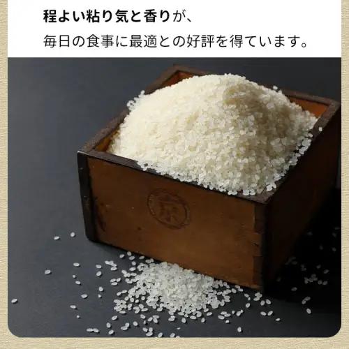 米 コシヒカリ 10kg 精米 白米