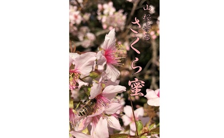 【山桜 香る】 国産 幻の山さくら 蜂蜜 120g 無添加 無着色 非加熱 安心安全 こだわり はちみつ ハチミツ ハニー