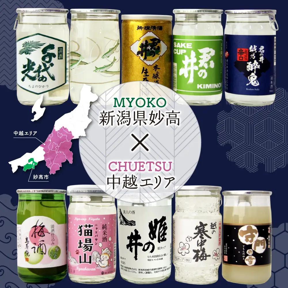 新潟県妙高飲み比べカップ酒セット(中越エリア) 10種 詰め合わせ