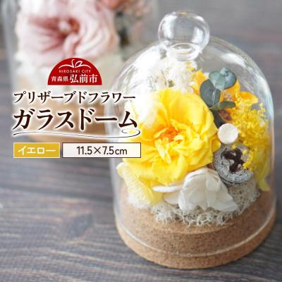 ふるさと納税 弘前市 プリザーブドフラワー ガラスドーム【イエロー】1個|24_sra-020101b
