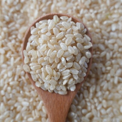 【ふるさと納税】有機こしひかり【玄米】500g×12袋(令和7年産)【1709189】