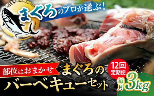 【全12回定期便】まぐろ おまかせバーベキューセット 冷凍約3kg 鮪 マグロ BBQ 魚 横須賀 本まぐろ 刺身 刺し身 お刺身 本マグロ 中とろ トロ 人気 おすすめ【横須賀商工会議所 おもてなしギフト事務局（本まぐろ直売所 横須賀本店）】 [AKAK034]