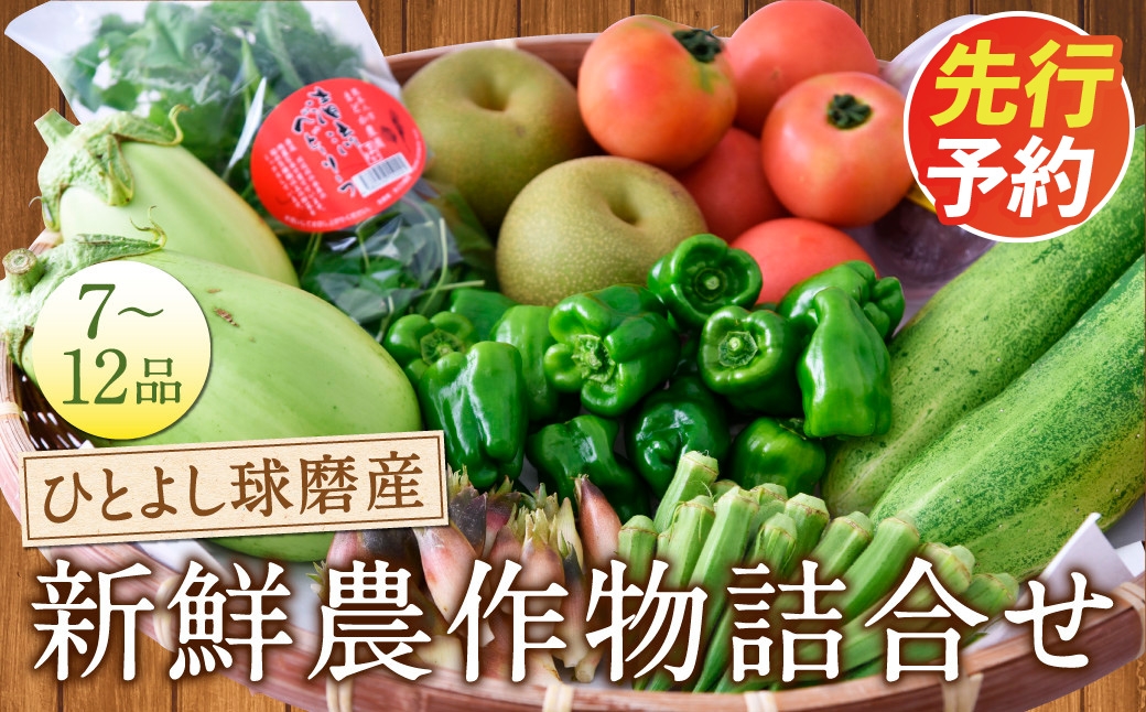 
                  ひとよし球磨産 新鮮農作物詰合せ 【2027年3月上旬-下旬発送予定】 旬 生鮮品 野菜 農作物 お取り寄せ セット 産地直送
                