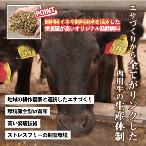 No.510-m10 ＜2025年10月中に発送予定＞鹿児島県産黒毛和牛ロースステーキ(計540g・180g×3P)国産 九州産 牛肉 黒毛和牛 和牛 ロース ステーキ おかず 冷凍【カミチク】