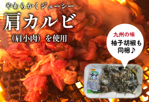 【テレビで紹介！元祖ざる焼き小林養鶏】やわらか炭火焼100g×10Pセット（国産 鶏 鶏肉  小分け 炭火焼  惣菜 調理済 冷凍 宮崎 小林市）