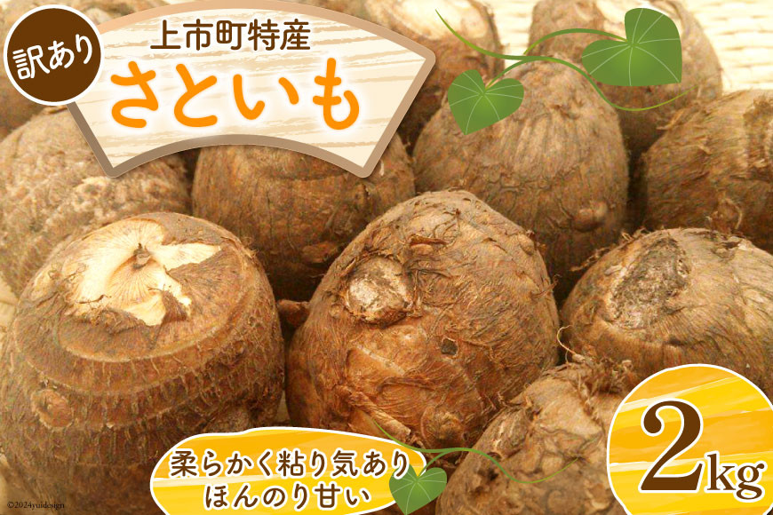 
                  【訳あり】上市特産品 規格外 里芋 2kg [LINK&ROOTS 富山県 上市町 32280240-r6-01] さといも サトイモ おでん 煮物 豚汁 傷あり
                