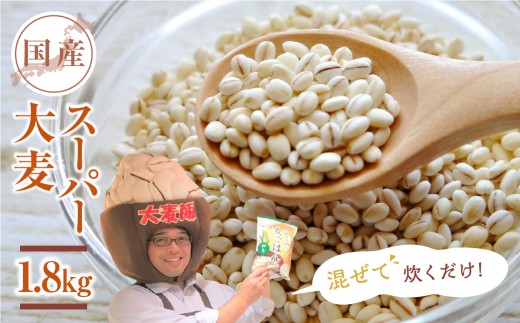 【愛知県産】スーパー大麦 1.8kg 国産 高β-グルカン ビューファイバー100% 食物繊維 麦ごはん 豊橋市 スーパー大麦 スーパー大麦 スーパー大麦 スーパー大麦 スーパー大麦 スーパー大麦 スーパー大麦 スーパー大麦 スーパー大麦 スーパー大麦 国産 大麦 国産 大麦 大麦 1.8kg 大麦 1.8kg 食物繊維 大麦 食物繊維 大麦 国産 大麦 大麦 1.8kg 食物繊維 大麦