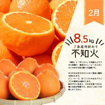 ふるさと納税 美浜町 【発送月固定定期便】紀州和歌山産旬のご家庭用柑橘セット(みかん・不知火・レモン)全3回 |  | 02