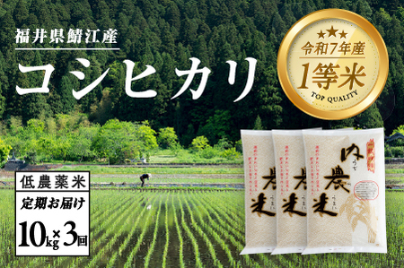 【令和7年産】【3ヶ月連続お届け】令和7年産 内農米コシヒカリ定期便 10kg × 3回 計30kg