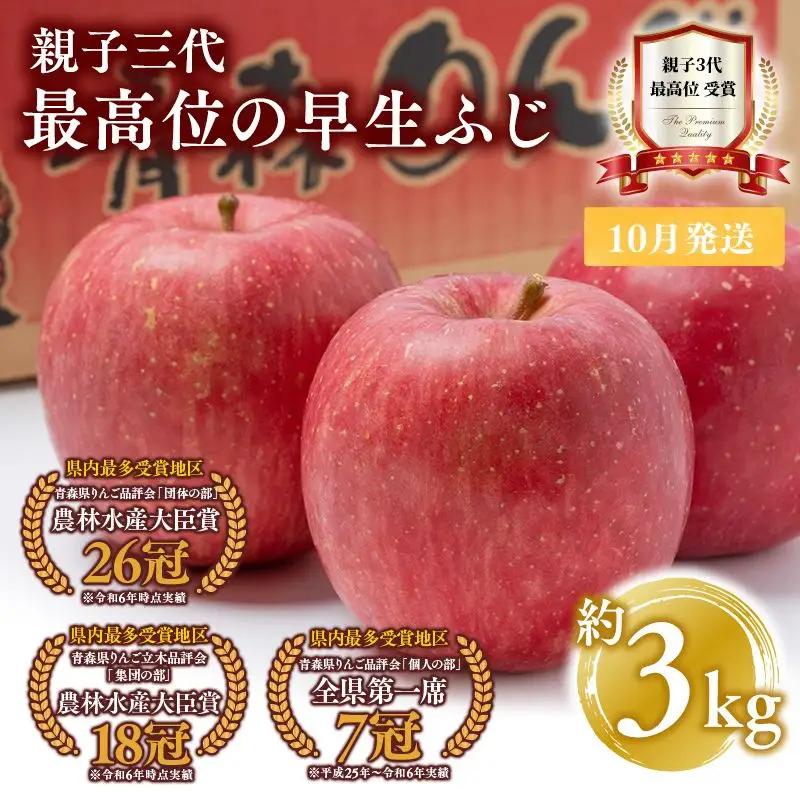 りんご 早生ふじ 約3kg 青森県平川市産 りんご