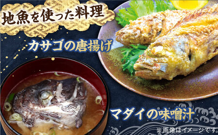 【全6回定期便】【平戸市場直送】旬の獲れたて鮮魚（冷凍）＜4-5種類＞ 平戸市 / ひらど新鮮市場[KAB229]