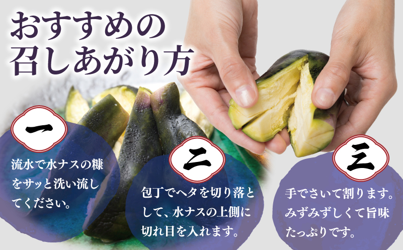 こだわり水ナス漬 4個【茄子 なす 野菜 国産 漬物 旬 おつまみ 糠漬け ぬか漬け ナス】
