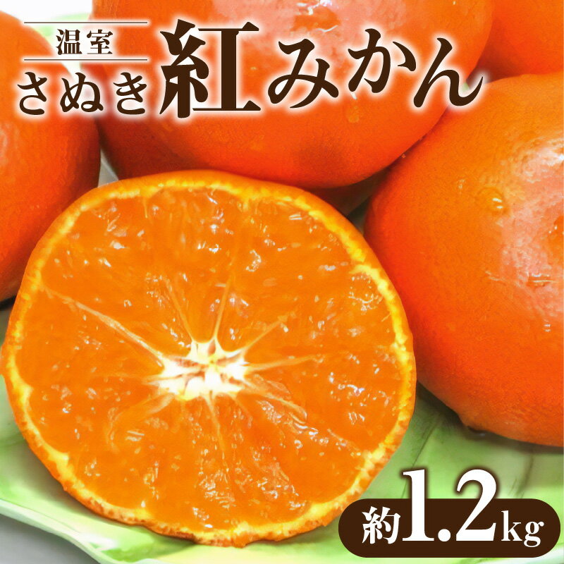 【ふるさと納税】 温室さぬき紅みかん 約1.2kg [ 温室 さぬき 紅みかん みかん 柑橘 果物 フルーツ 高糖度 紅色 果肉 オリジナル 香川県オリジナルみかん 国産 フルーツ王国 温室栽培 送料無料 10000 10,000円 台 香川県 三豊市 五色青果]