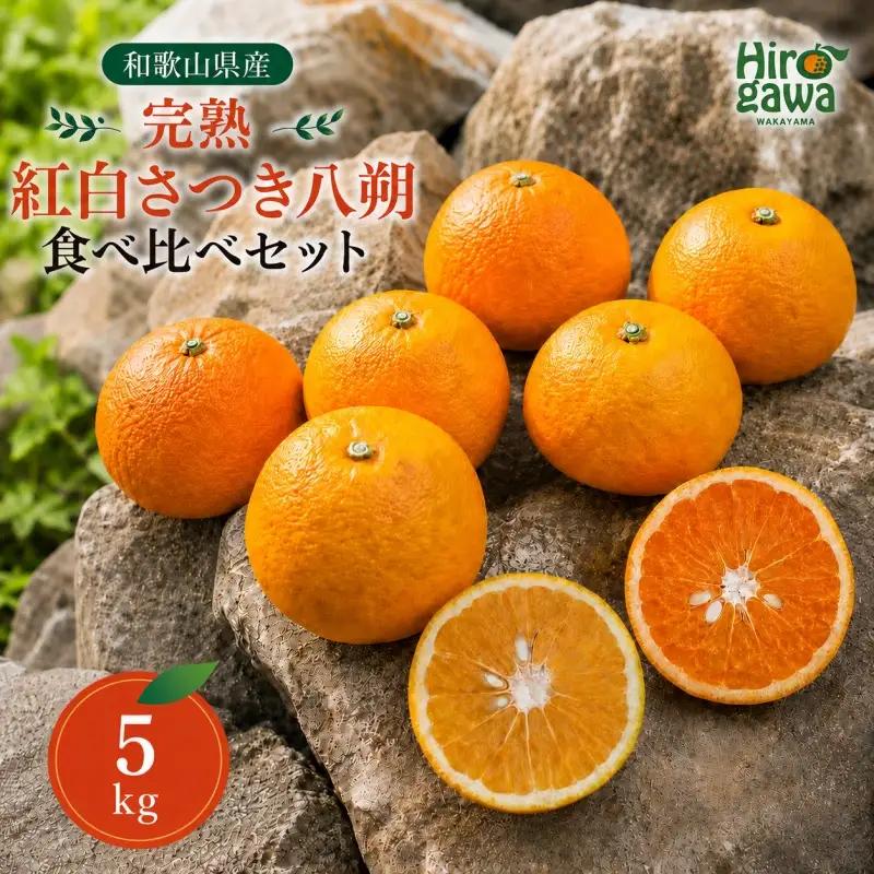 完熟 紅白 さつき 八朔 食べ比べ セット 5kg 10000円 久幸園  /  紅八朔 さつき八朔 はっさく 樹上完熟 完熟 木成り 柑橘 果物 くだもの フルーツ みかん 和歌山 有田 広川町 ※4月上旬〜5月上旬頃に順次発送予定  //hassaku 【hsk022-mix-5】