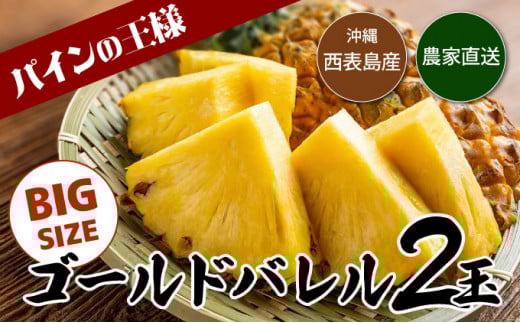 【2026年発送】ゴールドバレルビッグな２玉セット